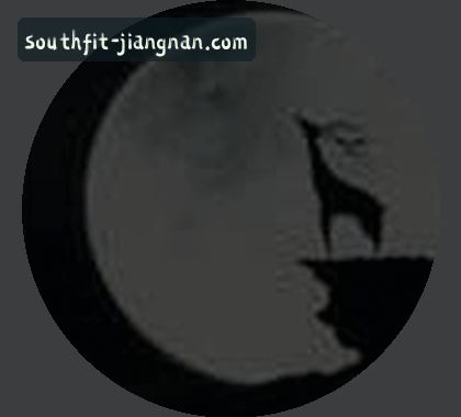 小杨